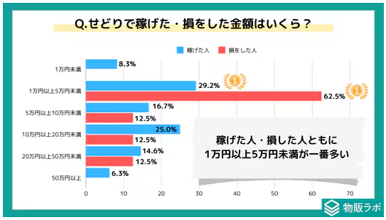 せどりの利益に関するアンケート調査